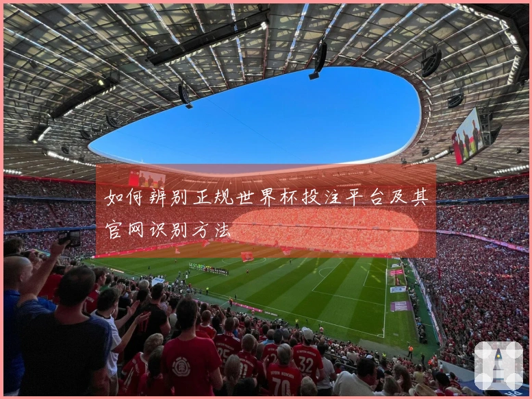 如何辨别正规世界杯投注平台及其官网识别方法