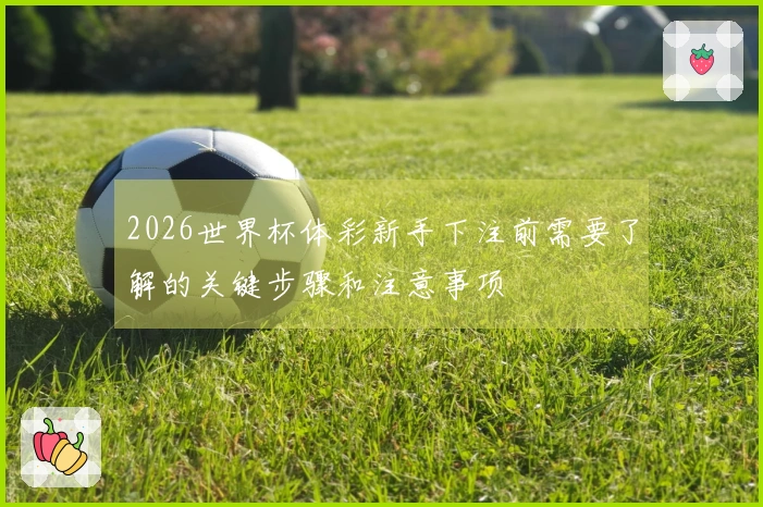 2026世界杯体彩新手下注前需要了解的关键步骤和注意事项